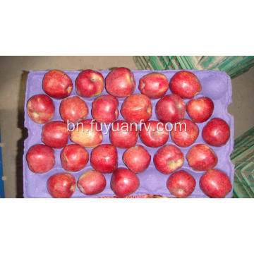 Hotsale মিষ্টি এবং খাস্তা লাল তারকা আপেল